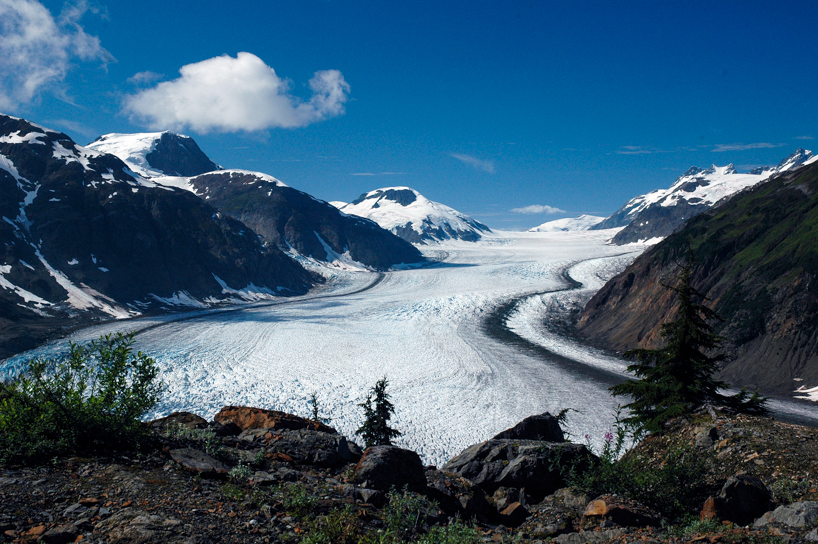Salmon Glacier View